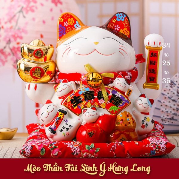 meo than tai vay tay sinh y hung long tt1401